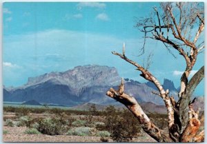 Postcard - Kofa Mountains - Arizona