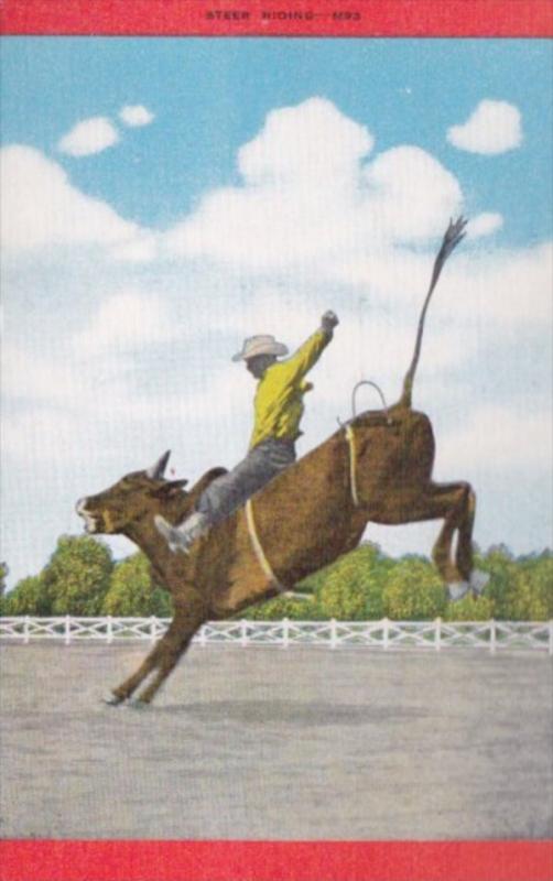 Cowboy Steer Riding