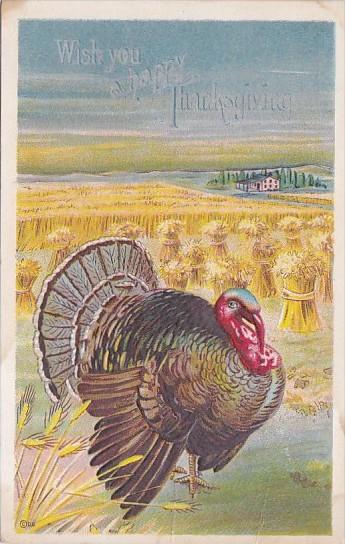 Thanksgiving Turkey In Wheat Field