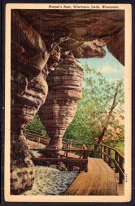 Hornet's Nest,Wisconsin Dells,WI BIN