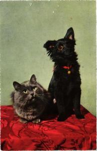 CPM AK Cat & little dog. CHIEN (717254)