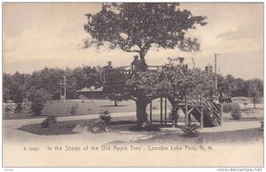 In The Shade of the Old Apple Tree, Canobie Lake Park, New Hampshire, 00-10´s