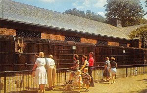 Staten Island Zoo Zoo Unused 