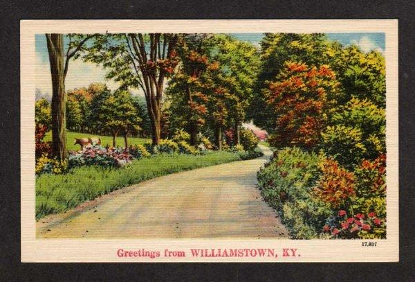 KY Vintage Greetings From Williamstown Kentucky Postcard Linen PC Carte Postale