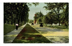 MI - Kalamazoo. Academy Street ca 1907