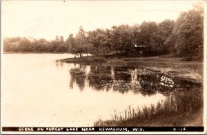 RPPC Scene on Forest Lake Near Kewaskum WI c1943 Vintage Postcard V65