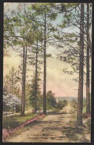 Vermont Avenue Southern Pines North Carolina Used c1923