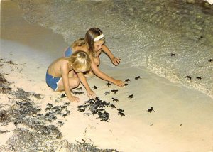 Sea Turtles Released On The Beaches Grand Cayman Islands Unused 