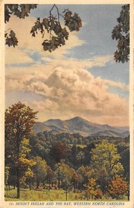 The Rat Mount Pisgah, North Carolina NC Postcard