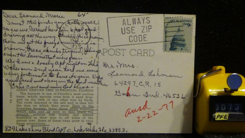 STD Vintage Giant Banyan Tree Florida Posted 2/9/1977