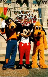 Florida Walt Disney World Goofy Mickey and Pluto