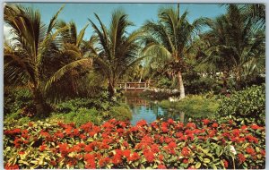 c1970s Freeport, Bahamas Garden of the Groves Chrome Photo by Chris Lothian A197