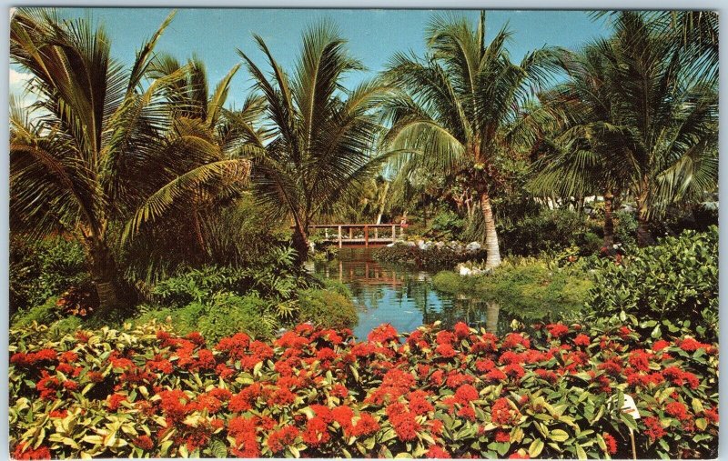 c1970s Freeport, Bahamas Garden of the Groves Chrome Photo by Chris Lothian A197