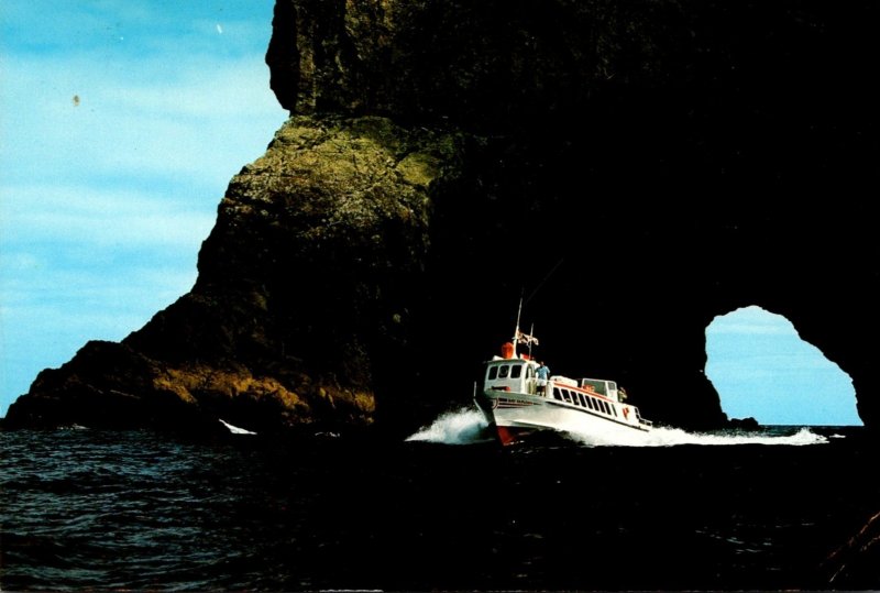 New Zealand Piercy Island Bay Explorer Going Through The Hole In ...