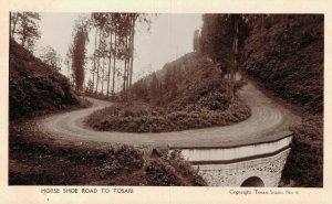 Indonesia Horse Shoe Road To Tosari RPPC 06.28