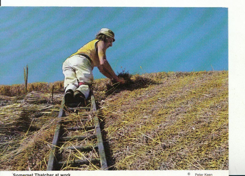 Somerset Postcard - Thatcher At Work - Ref 17700A