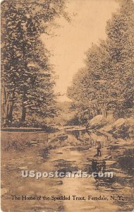 The Home of the Speckled Trout - Ferndale, New York NY Postcard