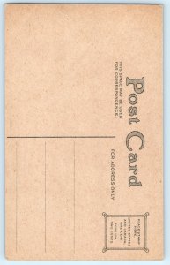 Turkey Uncle Sam Thanksgiving Postcard