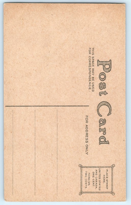 Turkey Uncle Sam Thanksgiving Postcard