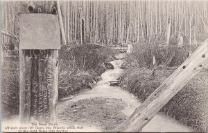 The Great Divide Steam AB BC Unused J. Howard Chapman Postcard H60