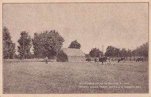 Walker House Farm Oakville Ontario Canada Antique Cattle Postcard