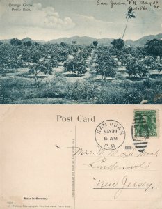 PUERTO RICO ORANGE GROVE ANTIQUE 1908 POSTCARD CORK CANCEL
