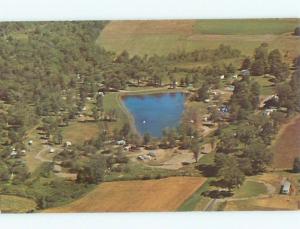 Pre-1980 AERIAL VIEW OF TOWN East Springfield New York NY n2942