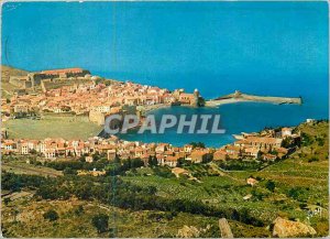 Modern Postcard Collioure (P O) Colors and Light of France Vue Generale