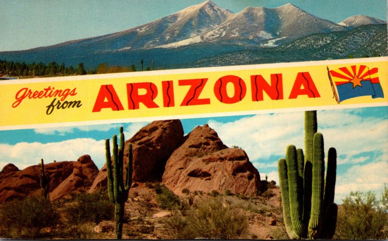 Arizona Greetings Showing Mountains and Saguaro Cactus