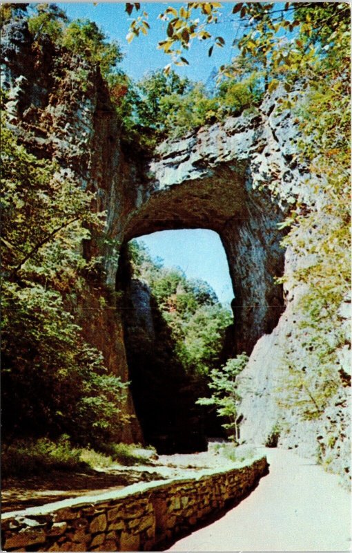 Natural Bridge Lee Hwy Passes Over VA Virginia Postcard UNP VTG Unused Vintage 