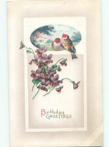 Divided-Back BIRDS SCENE Pretty Postcard AA9279