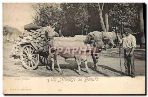 Old Postcard Folklore A team of oxen