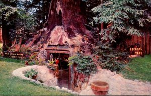 California Redcrest Eternal Tree House On Highway 101