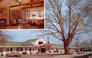 Carmi Illinois Motel Multiview Vintage Postcard K59200