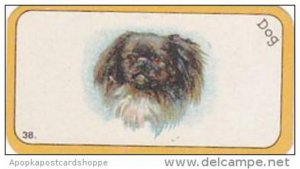 Carreras Cigarette Card Greyhound Racing Game No 38 Dog