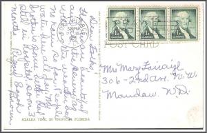 Florida - Azalea Time - [FL-086]