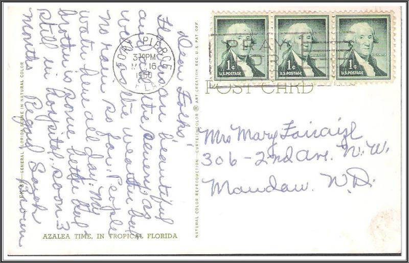 Florida - Azalea Time - [FL-086]