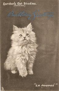 \La Poupee\ Tuck cat  Art Series postcard # 868