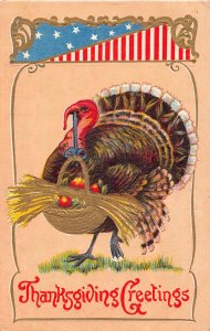 Thanksgiving Greetings Humanized Turkey Holds Basket embossed postcard B988