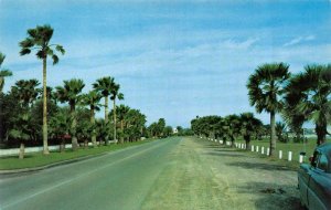 CORPUS CHRISTI, Texas TX   OCEAN DRIVE~Homes of $50,000 & More  c1950's Postcard