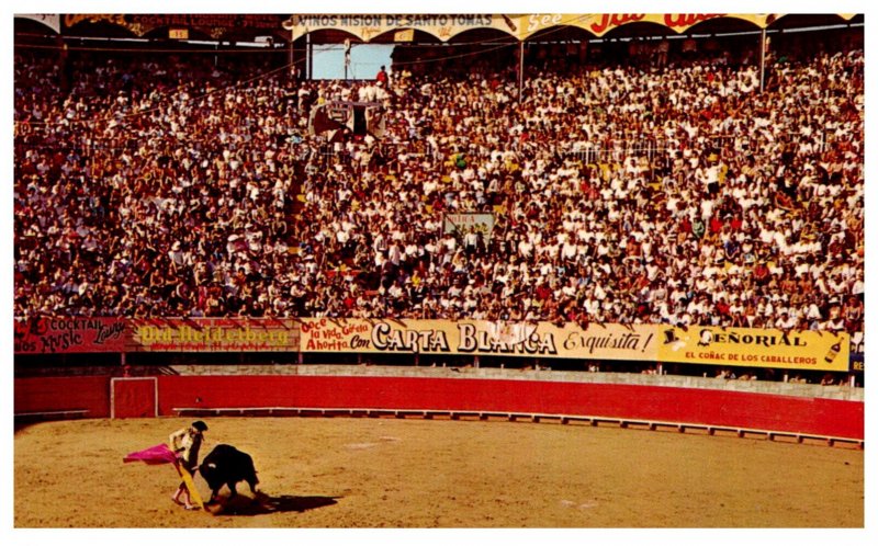 Mexico Tijuana  Bull Fight