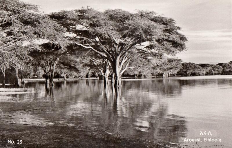 Real photo postcard Africa Ethiopia Aroussi Sombay Lake