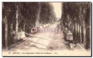 Old Postcard Arles Alyscamps the & # 39Allee Tombs