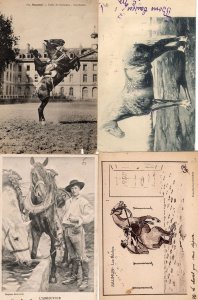 French Horse Racing 4x Antique Race Training Equestrian Postcard s