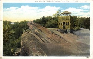 Western North Carolina NC Blowing Rock and Observatory Vintage Postcard