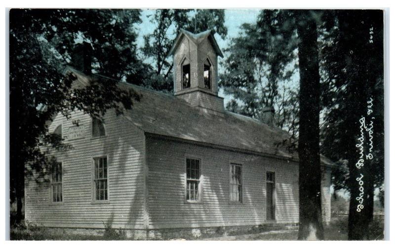 Early 1900s Trivoli, IL, School Building Postcard