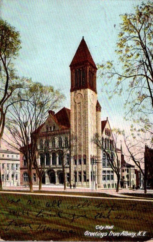 New York Albany City Hall 1907