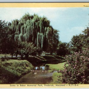 c1950s Frederick, MD Baker Memorial Park Kodachrome CH Ruth Pharmacy Dexter A203