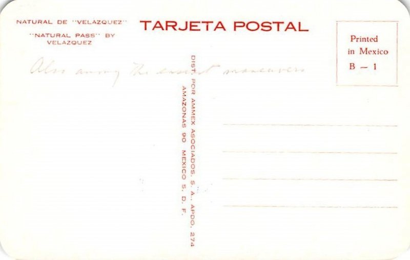 Natural De Valazquez Tarjeta Postal, Bullfighting Unused 
