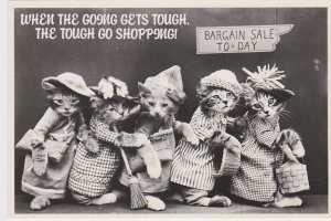 Cats Humour When The Going Gets Tough The Tough Go Shopping